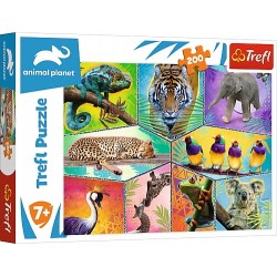 Puzzle 200el W egzotycznym świecie. Discovery Animal Planet 13280 Trefl p12